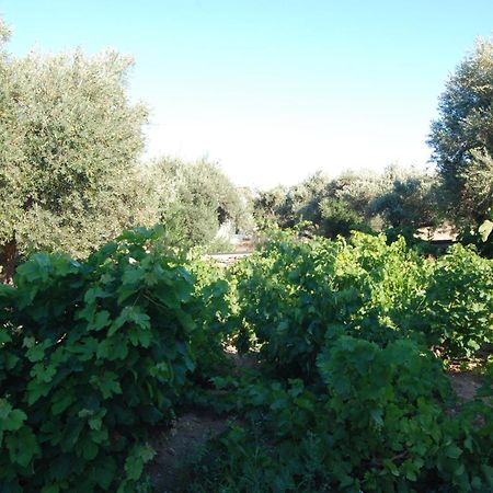 Villa Perivoli Platis Gialos  Ngoại thất bức ảnh