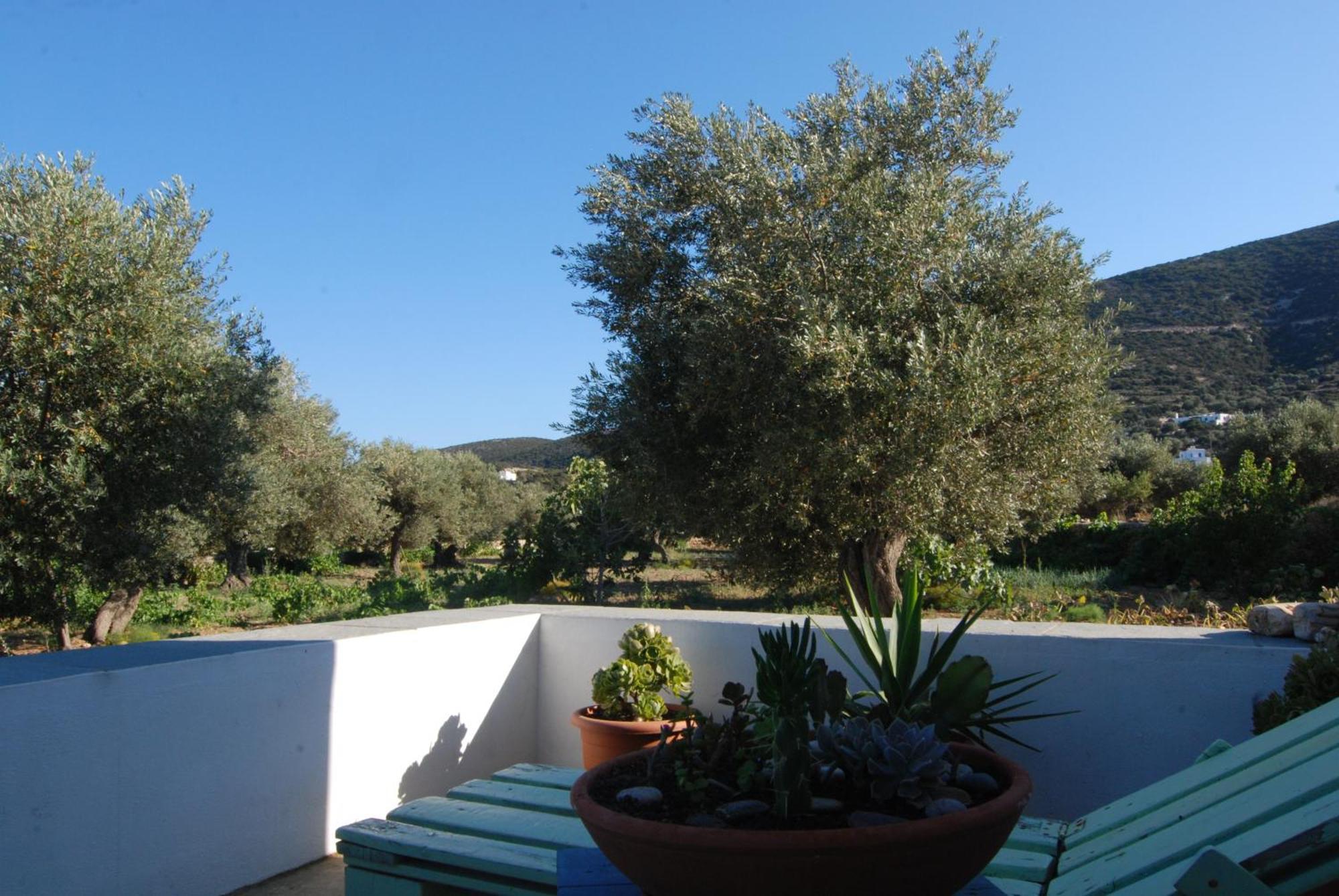 Villa Perivoli Platis Gialos  Ngoại thất bức ảnh